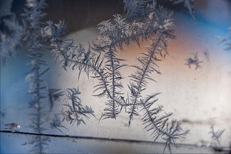 Eiskristalle an unserer Zimmerscheibe