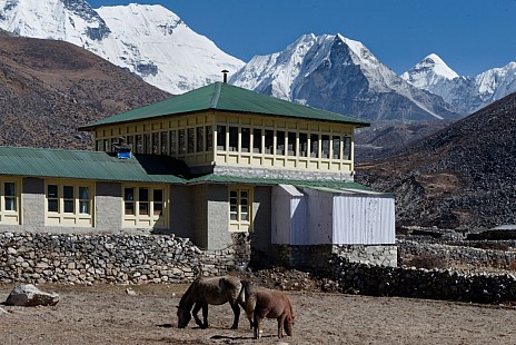 «Hotel Grand Himalayan» die Unterkunft von letzter Nacht